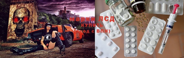 спиды Алзамай