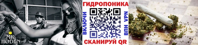 купить   Андреаполь  Шишки марихуана гибрид 